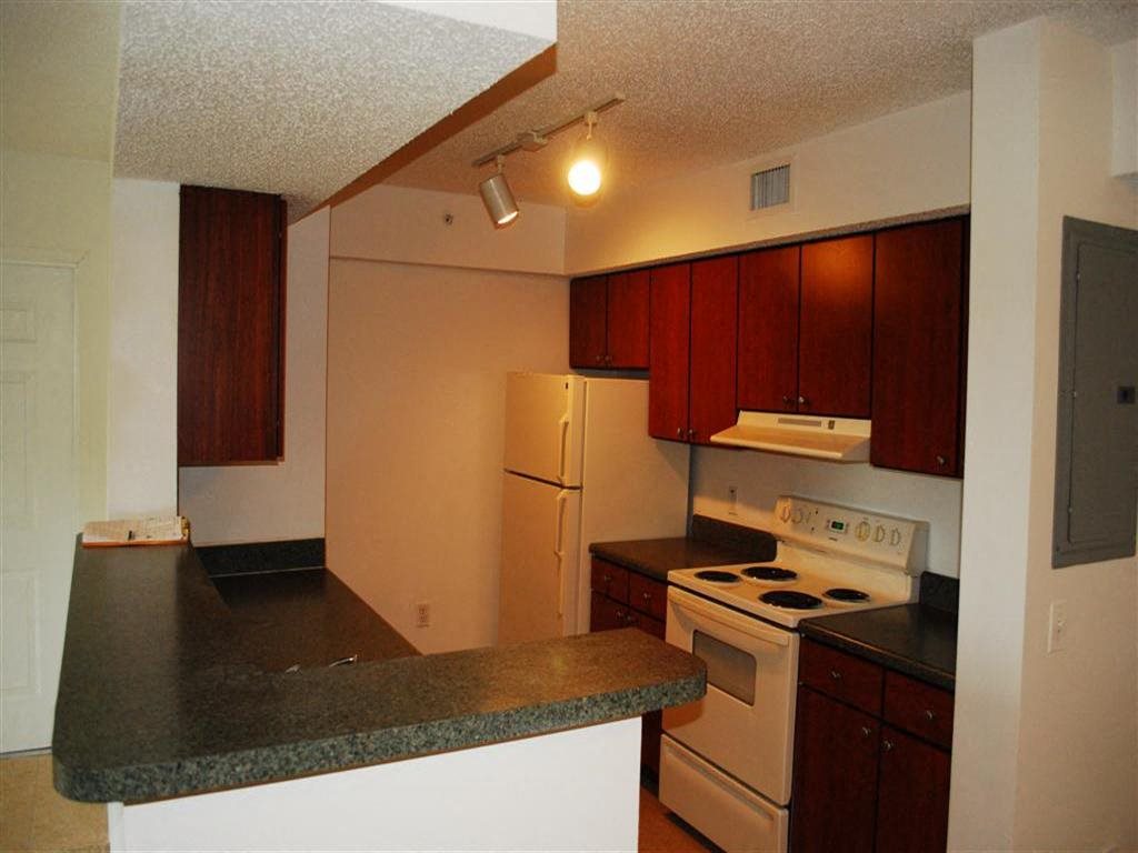 Gallery Photo 5