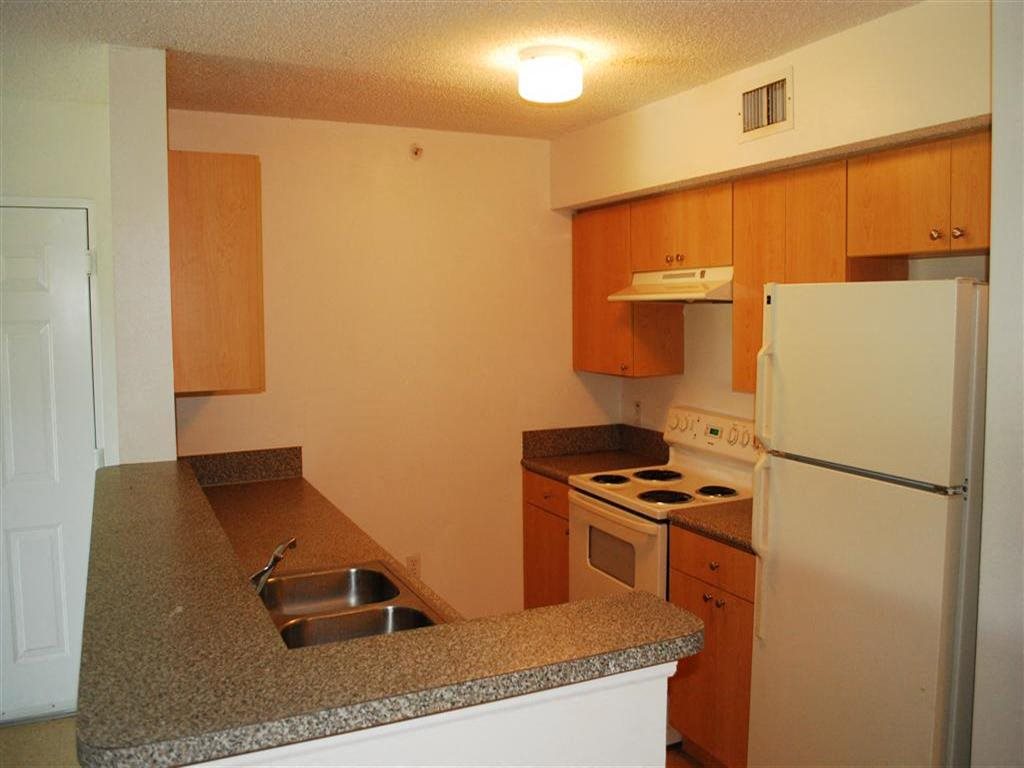 Gallery Photo 6