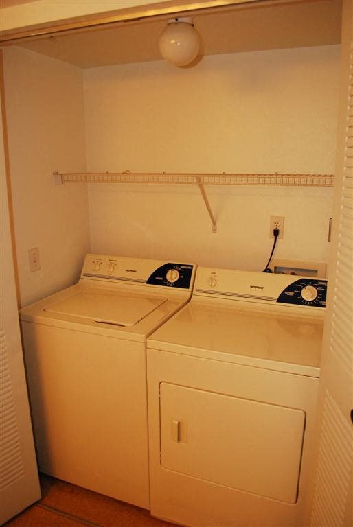 Gallery Photo 7