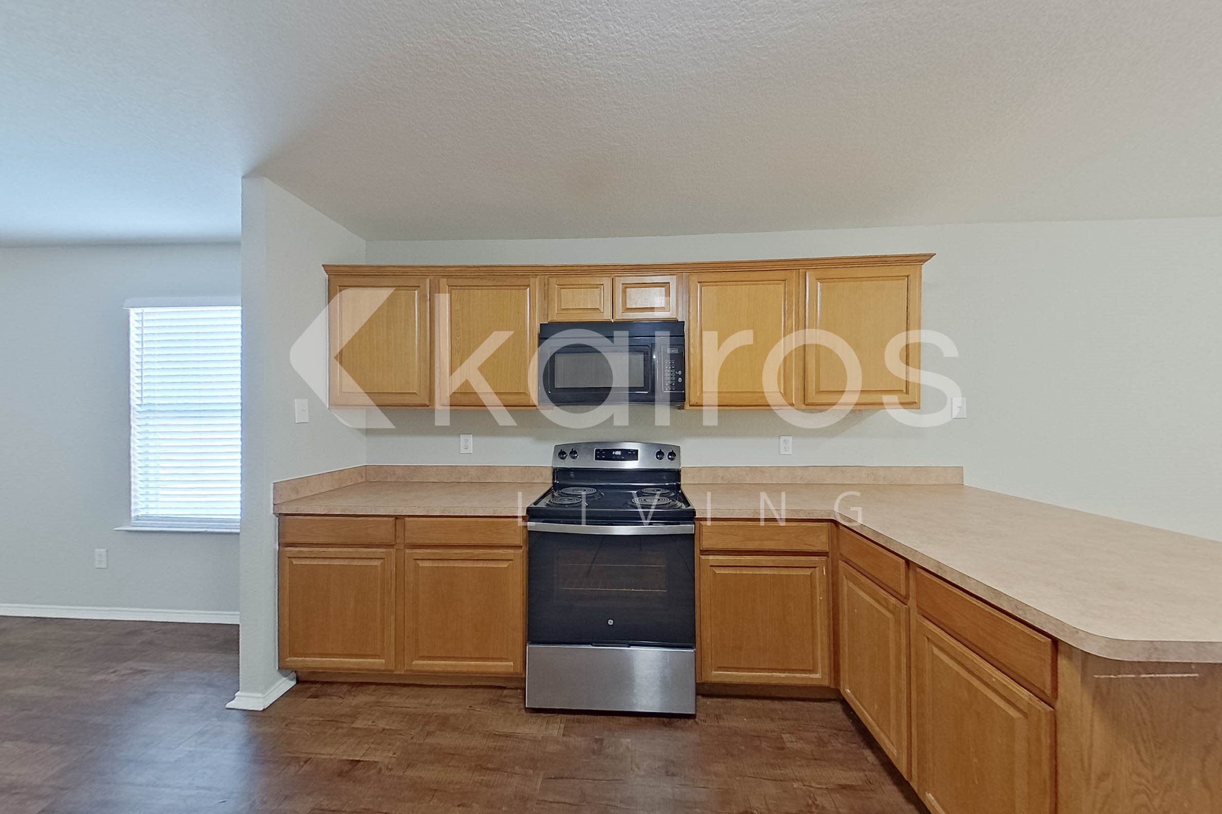 Gallery Photo 11
