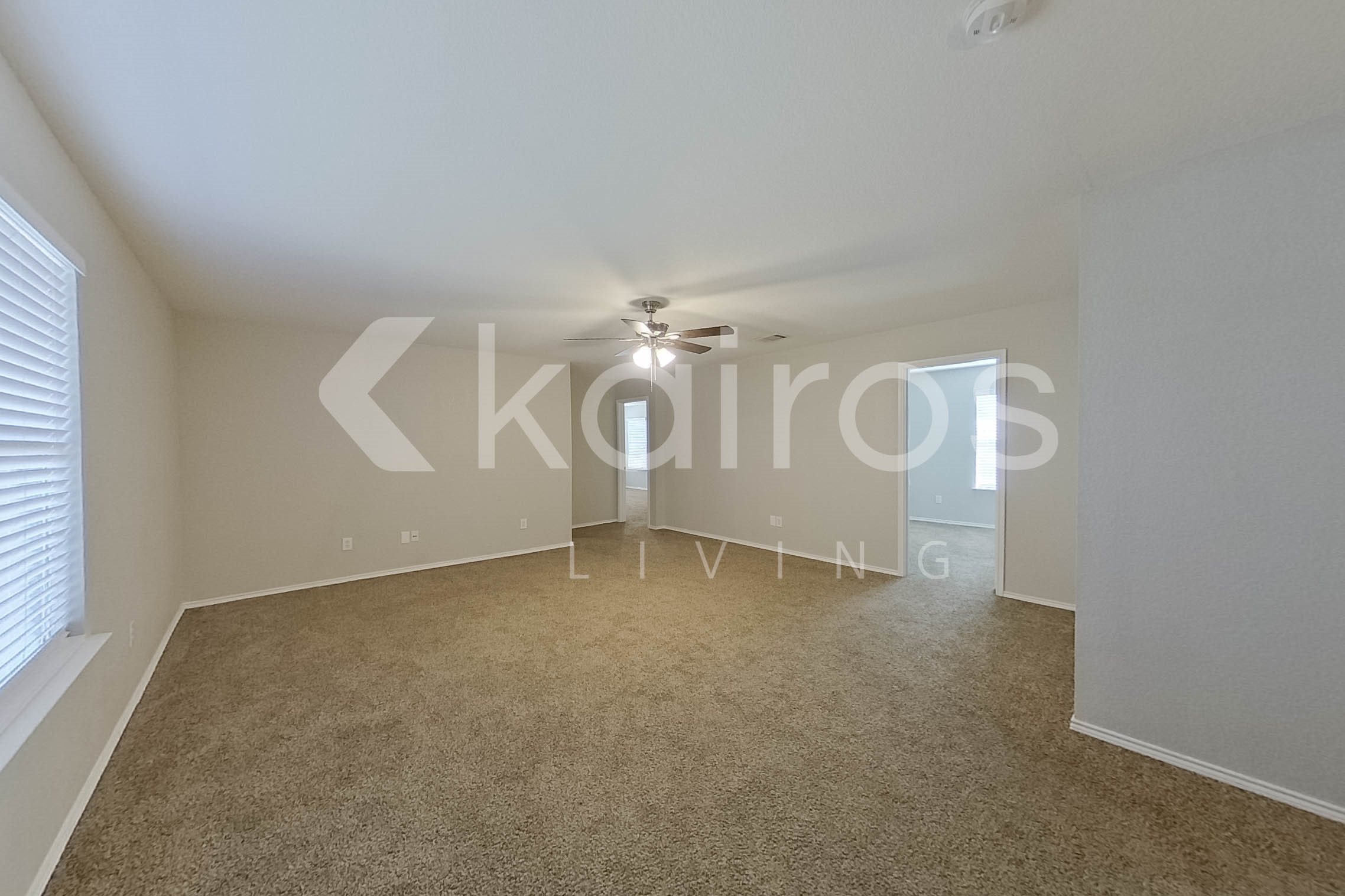 Gallery Photo 17