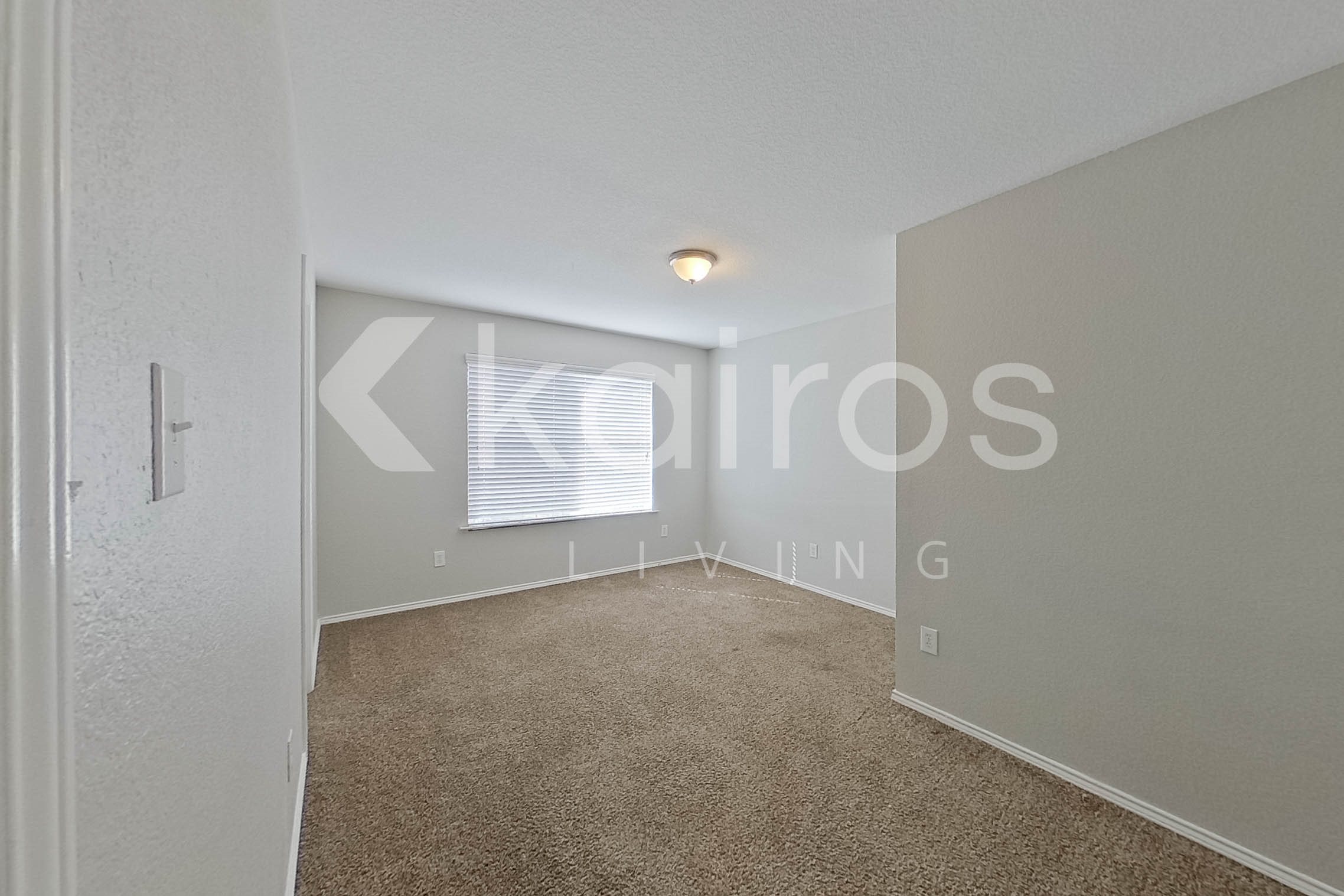 Gallery Photo 19