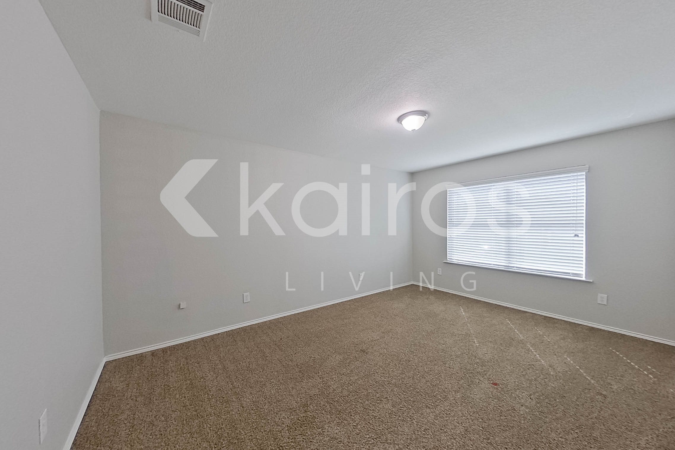Gallery Photo 21