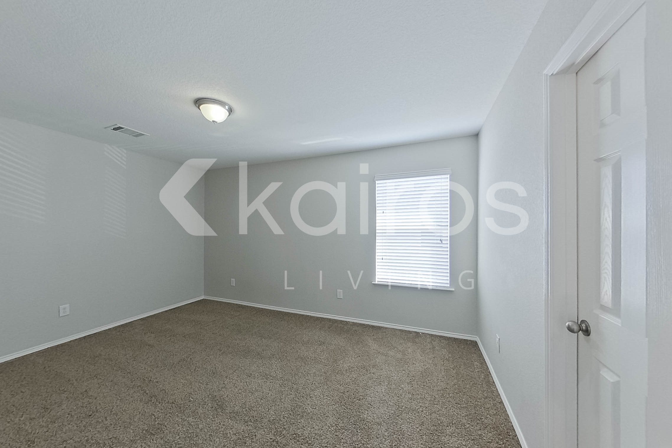 Gallery Photo 23