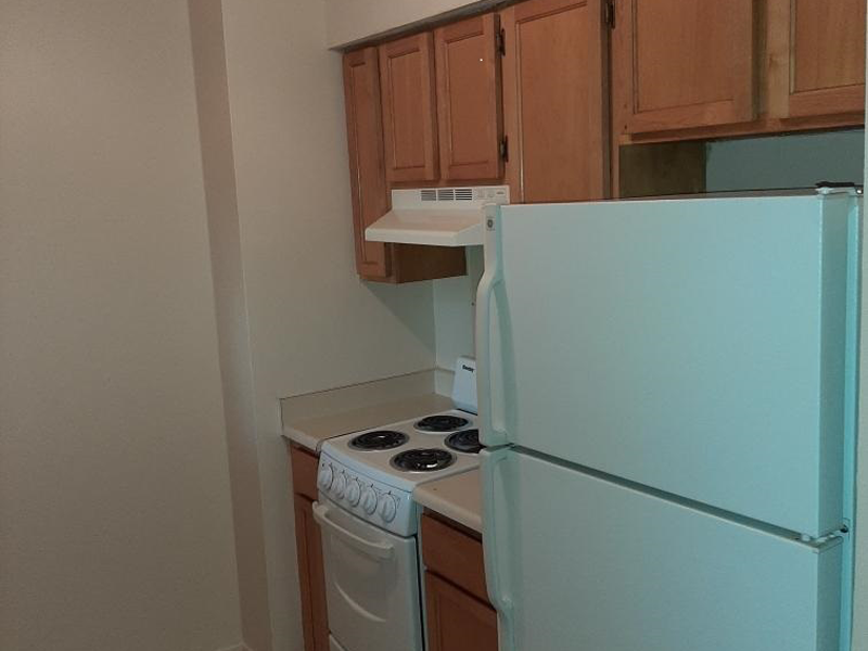 Gallery Photo 11