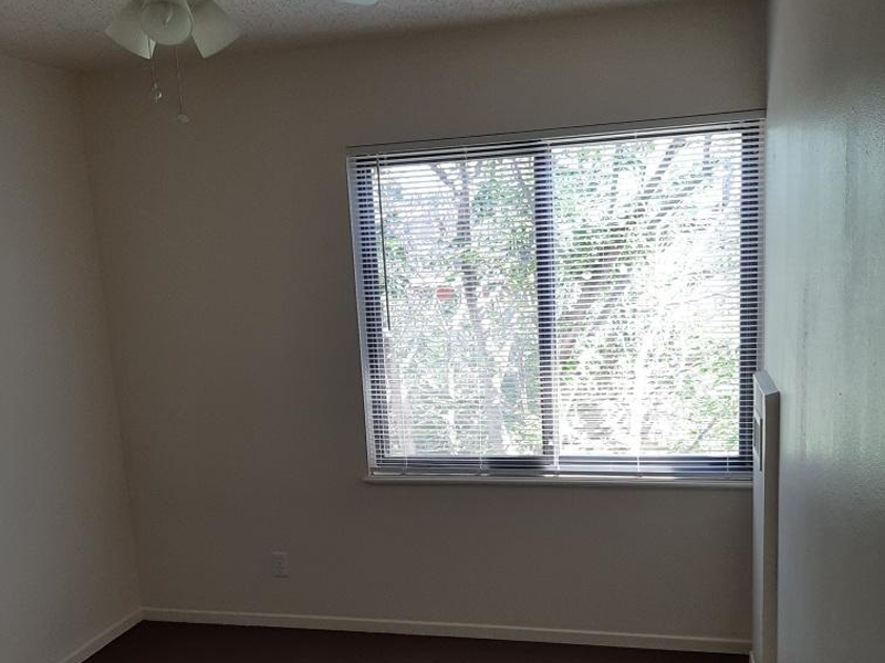 Gallery Photo 13
