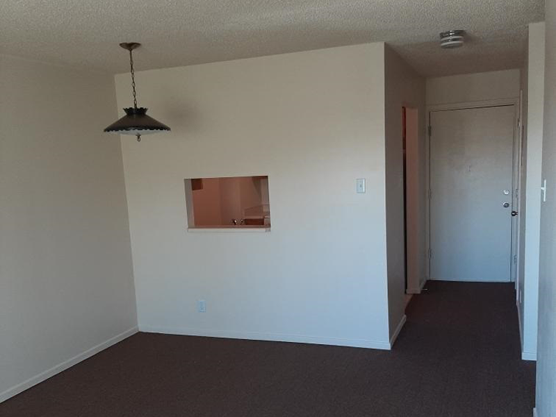 Gallery Photo 5