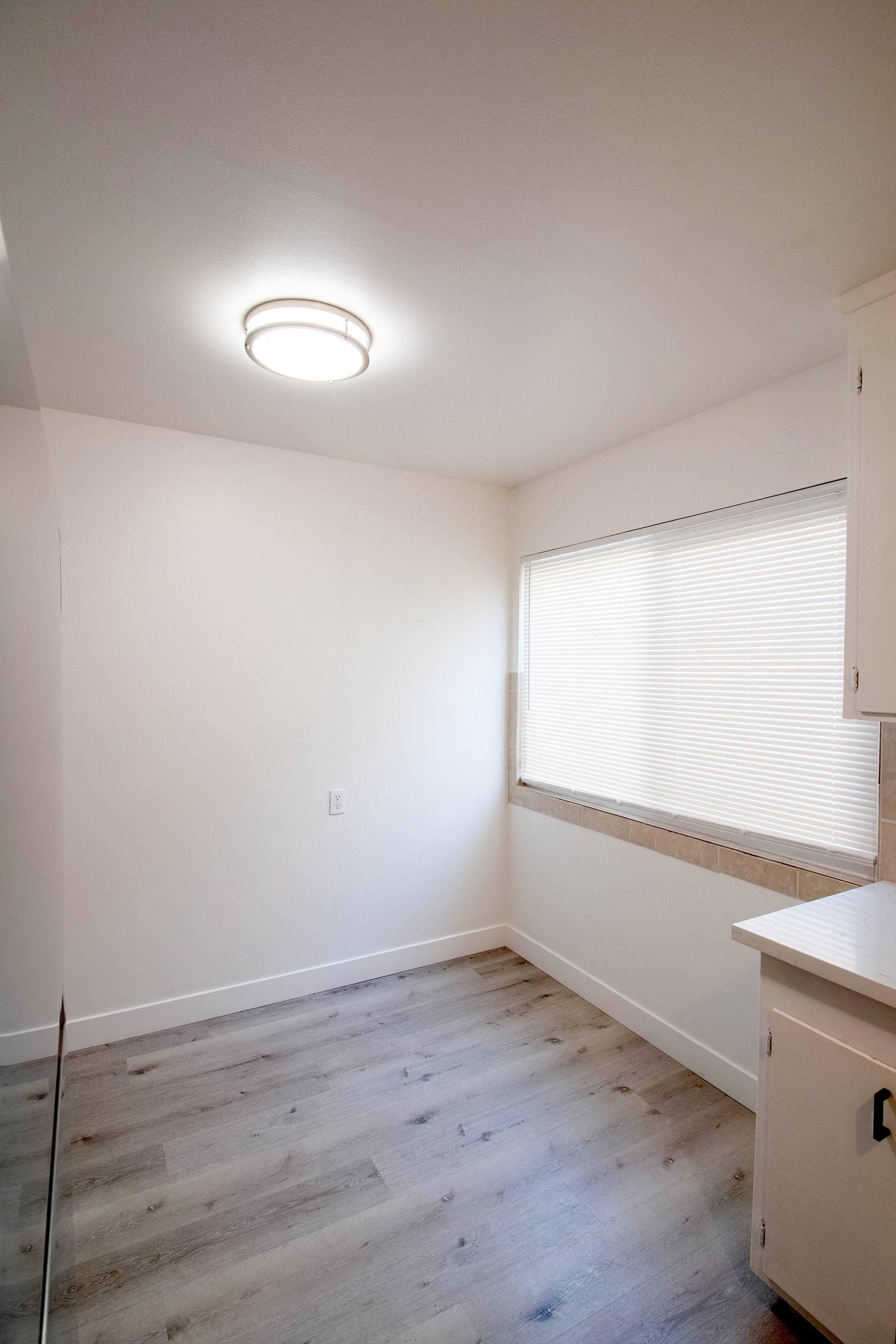 Gallery Photo 25
