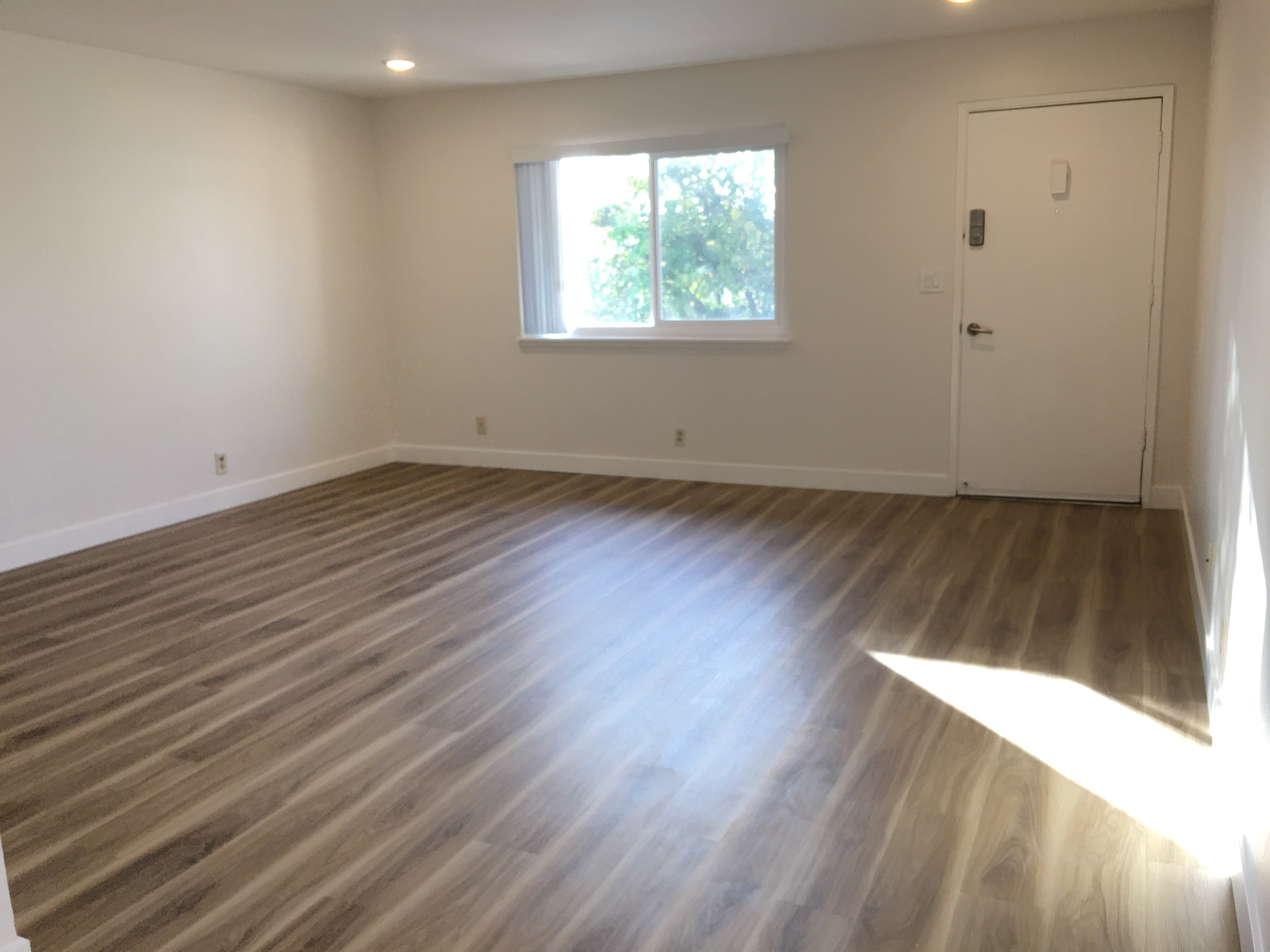 Gallery Photo 8