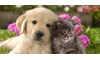 Gallery Image 24