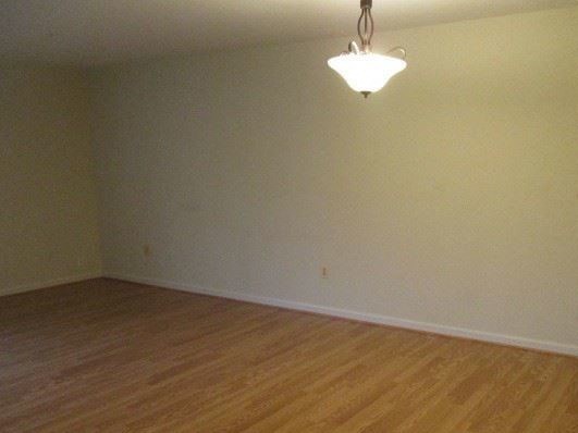 Gallery Photo 7