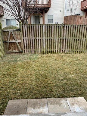 Gallery Photo 11