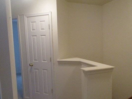 Gallery Photo 8