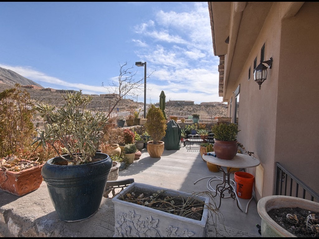 Gallery Photo 29