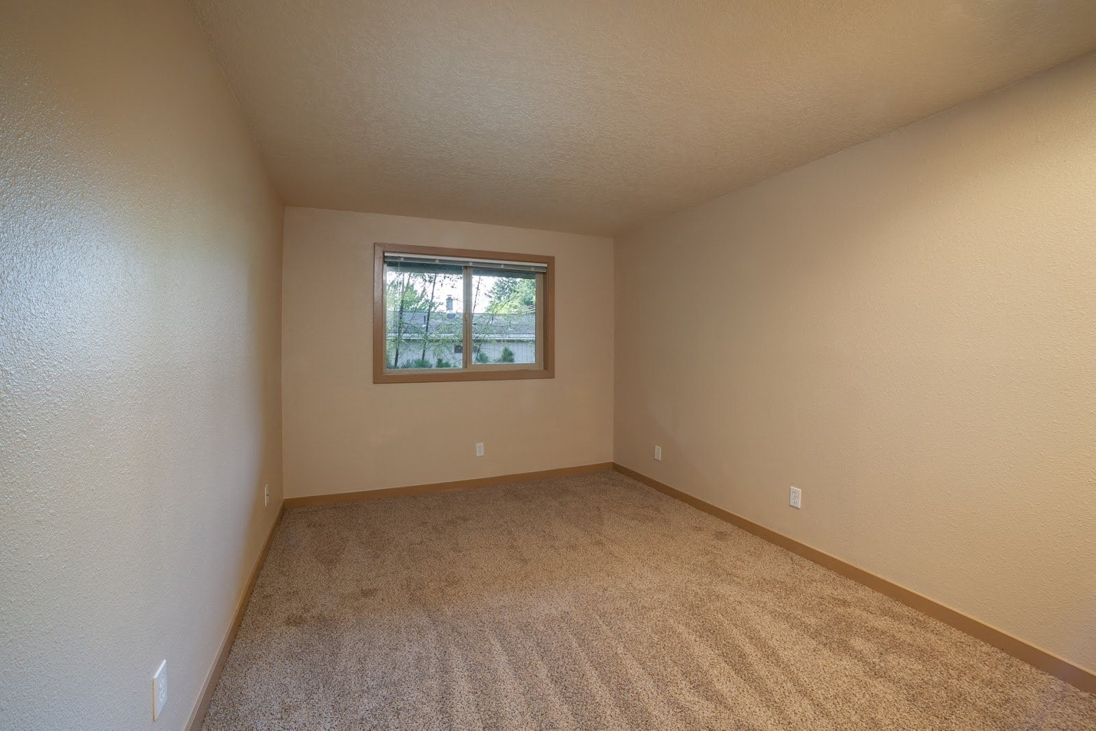 Gallery Photo 15