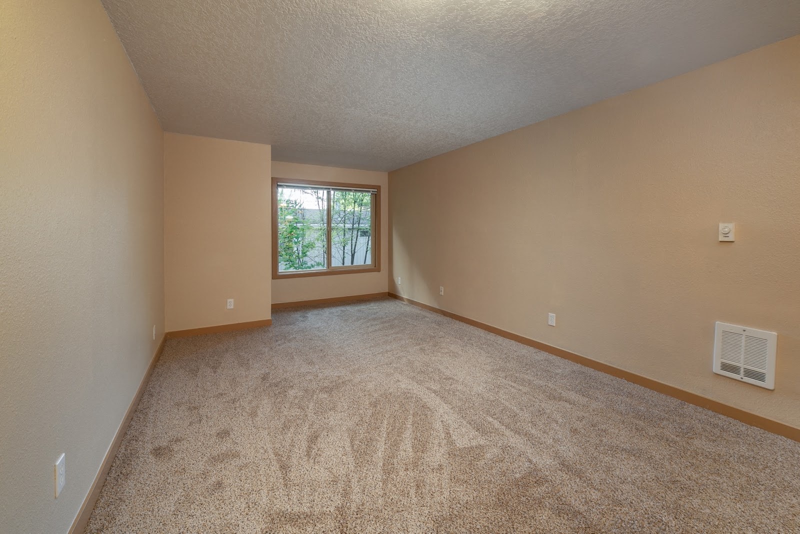 Gallery Photo 13