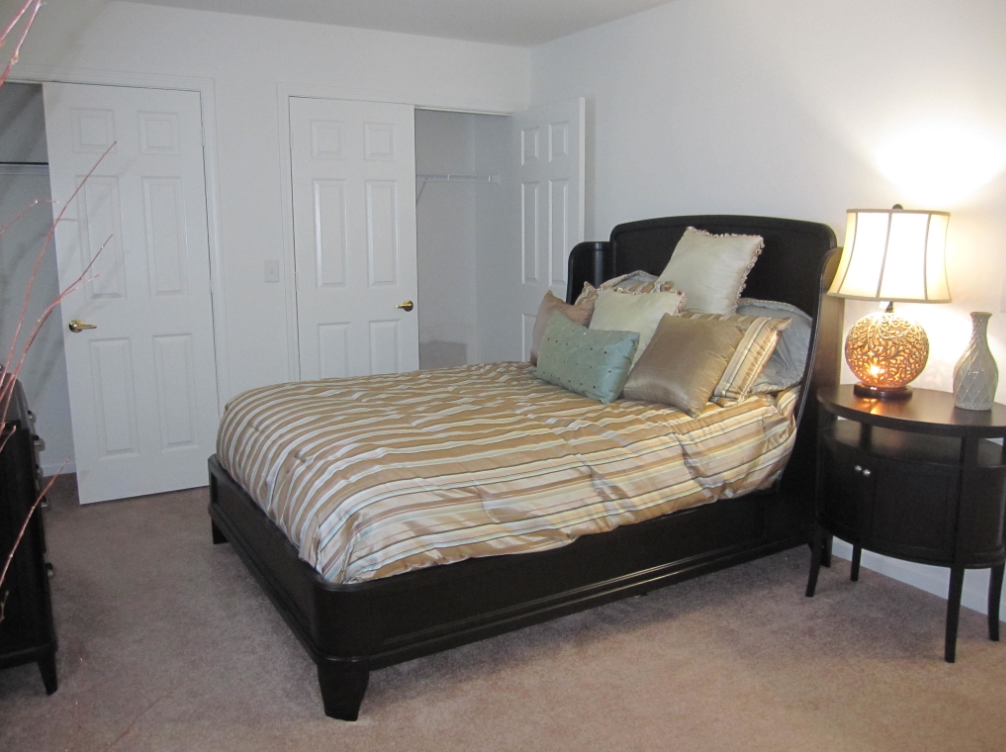 Gallery Photo 11