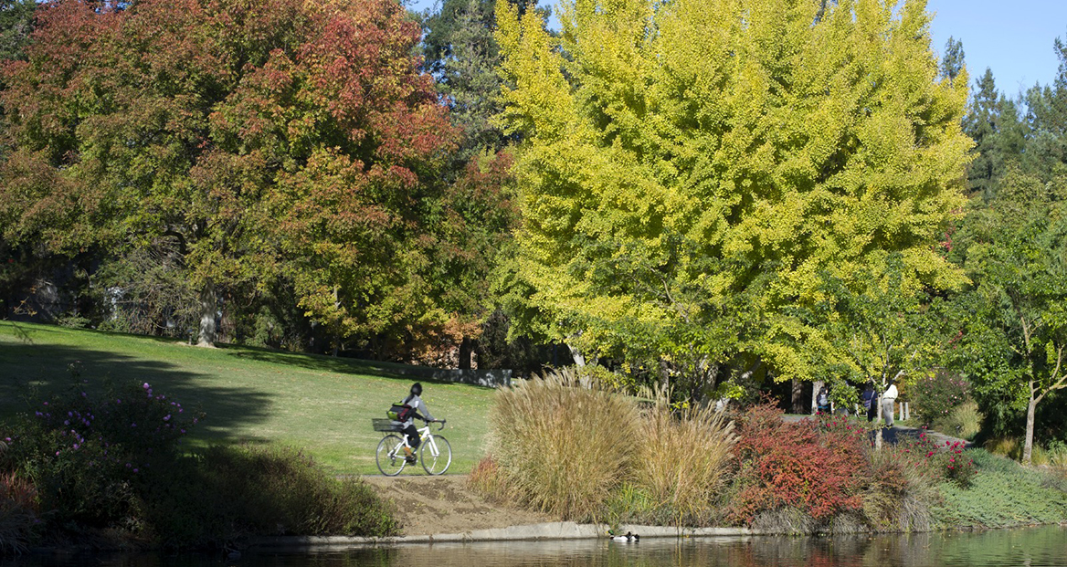 44 WALNUT Apartments in Dallas, TX