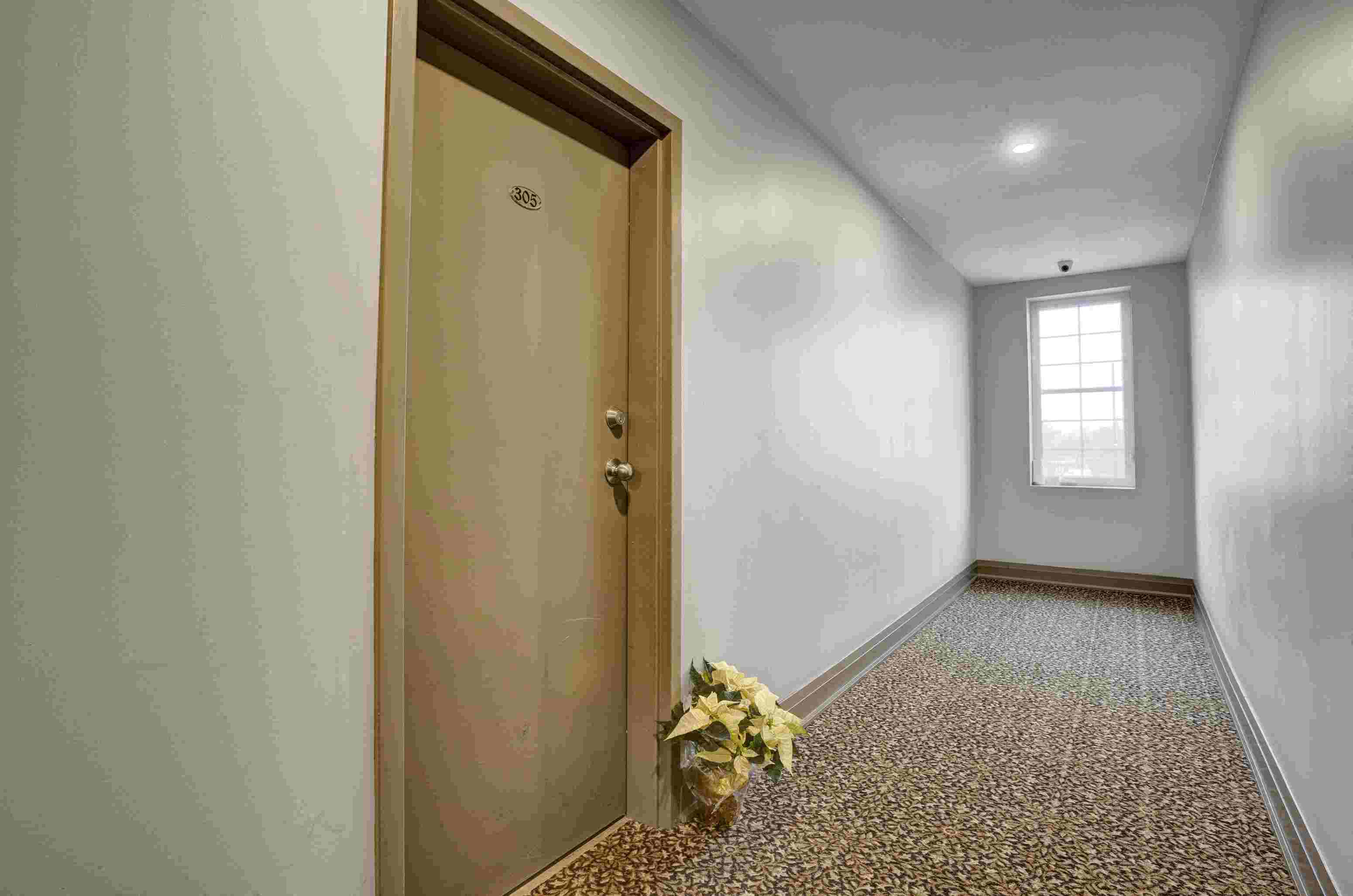 Gallery Photo 16