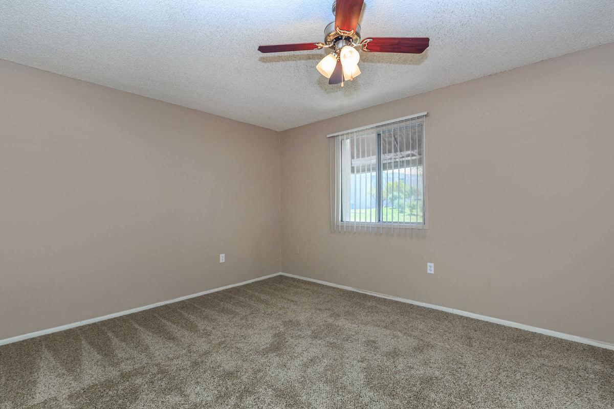 Gallery Photo 3