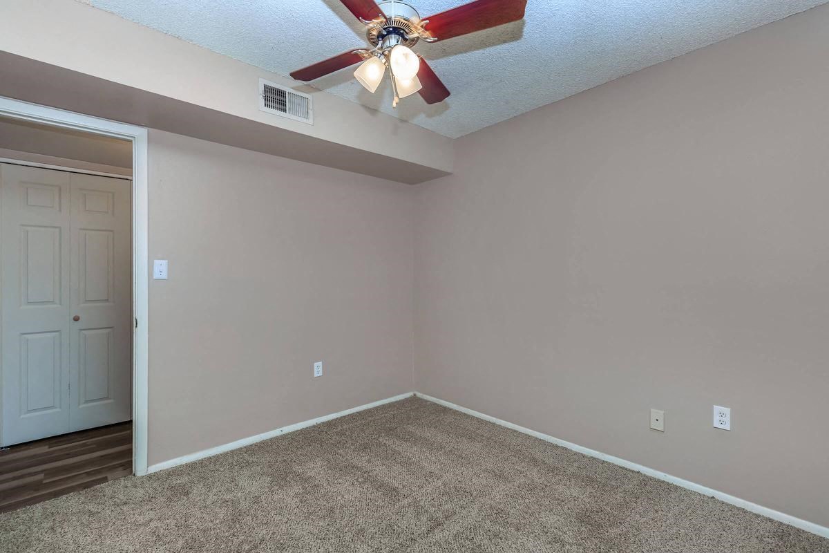 Gallery Photo 2