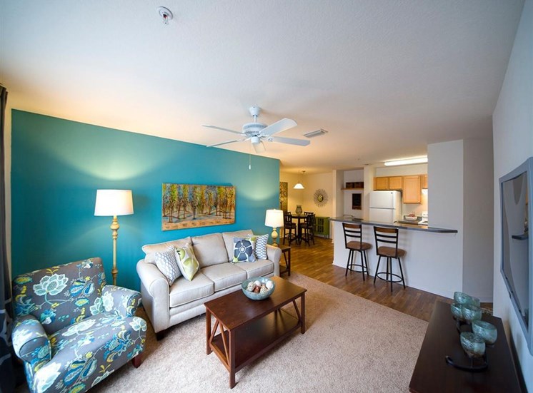 Furnished Living Room With Television at Camri Green Apartments, Jacksonville, Florida