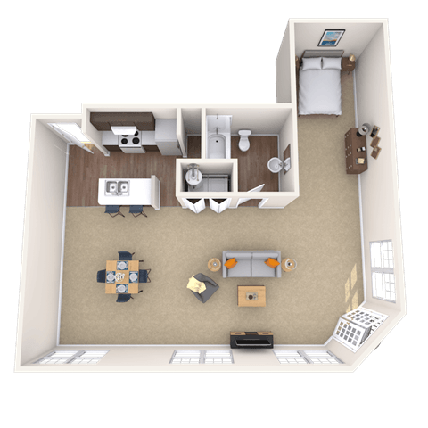 Studio 0x1 950 SF floor plan