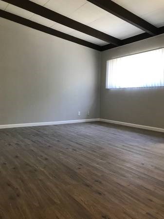 Gallery Photo 4