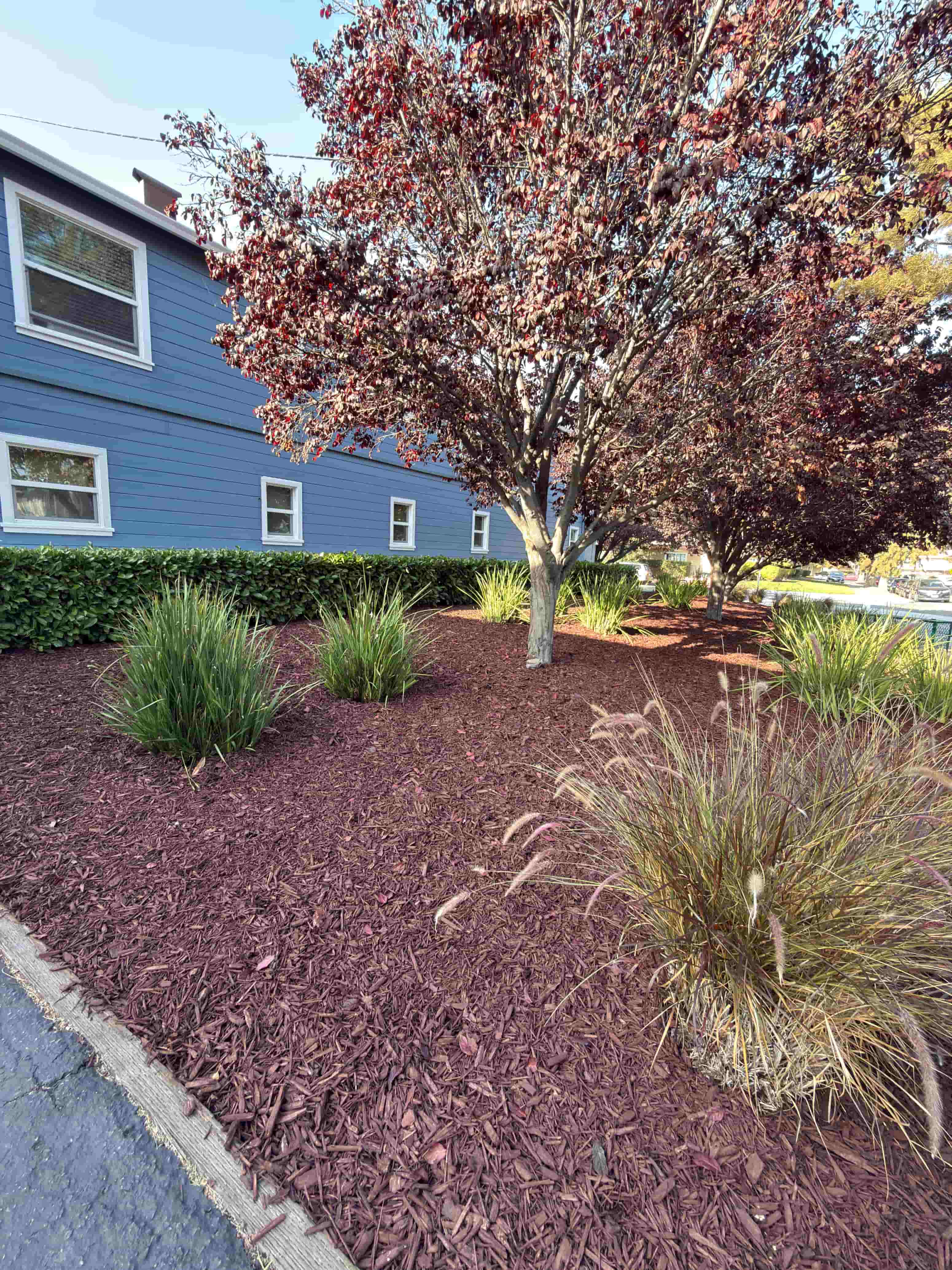 Gallery Photo 18