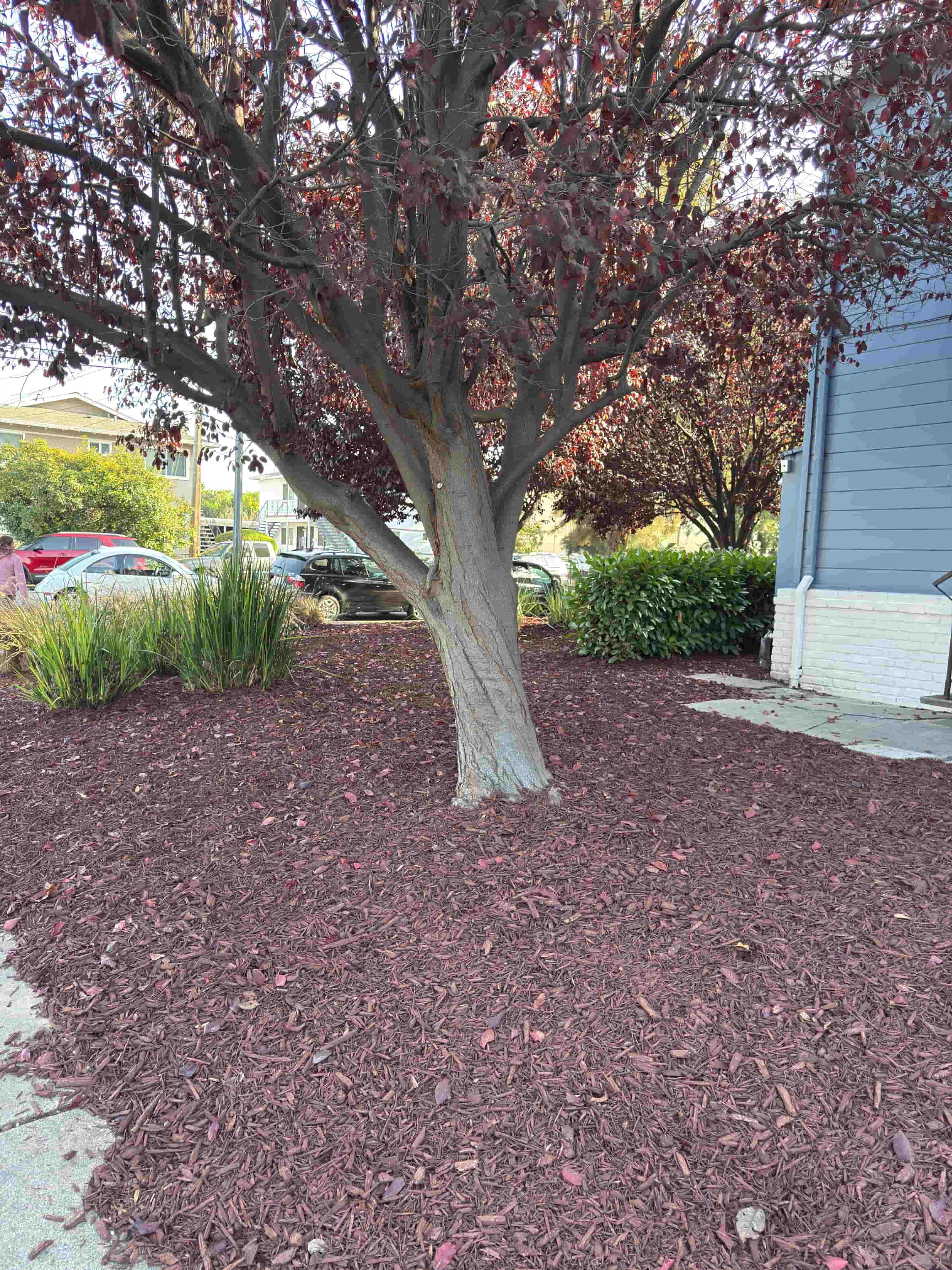 Gallery Photo 16