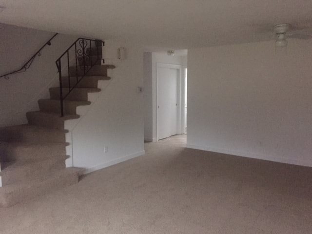 Gallery Photo 11