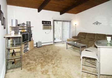 Gallery Photo 7