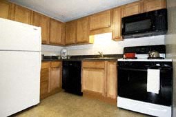 Gallery Photo 10