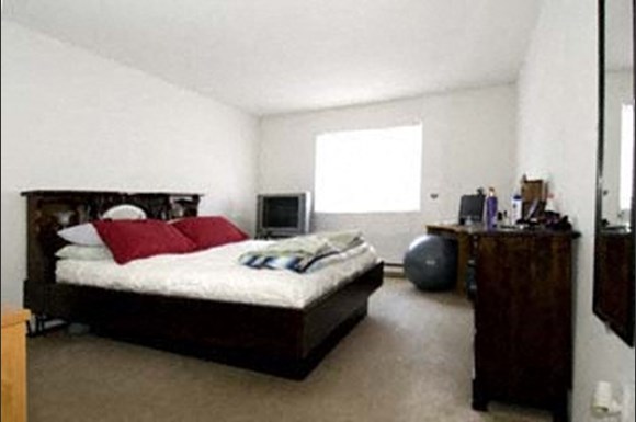 Gallery Photo 15