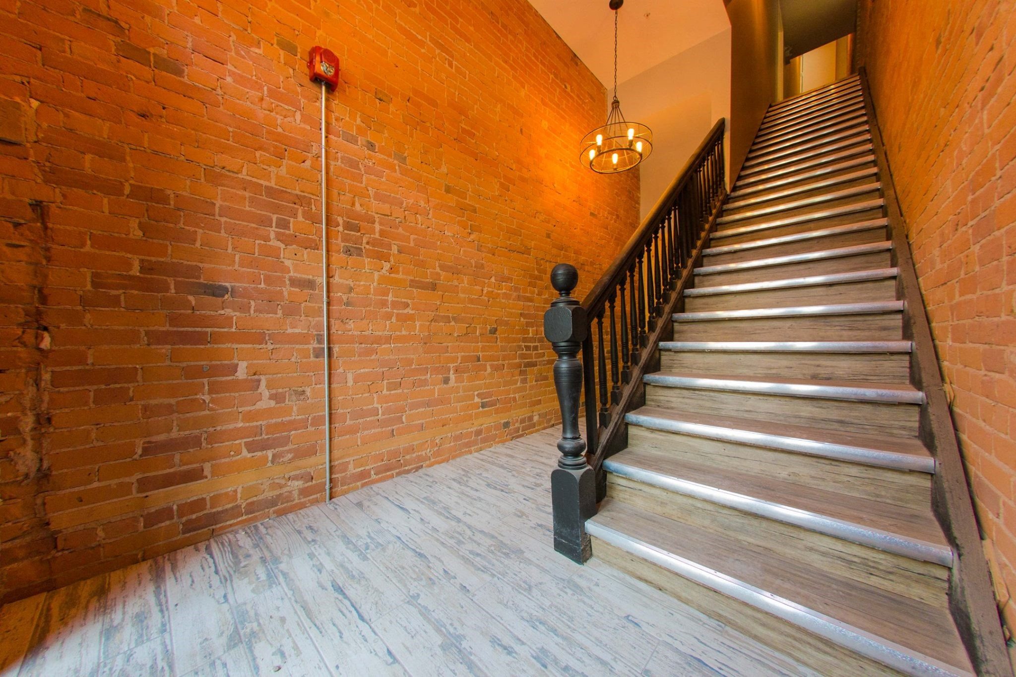 Gallery Photo 5