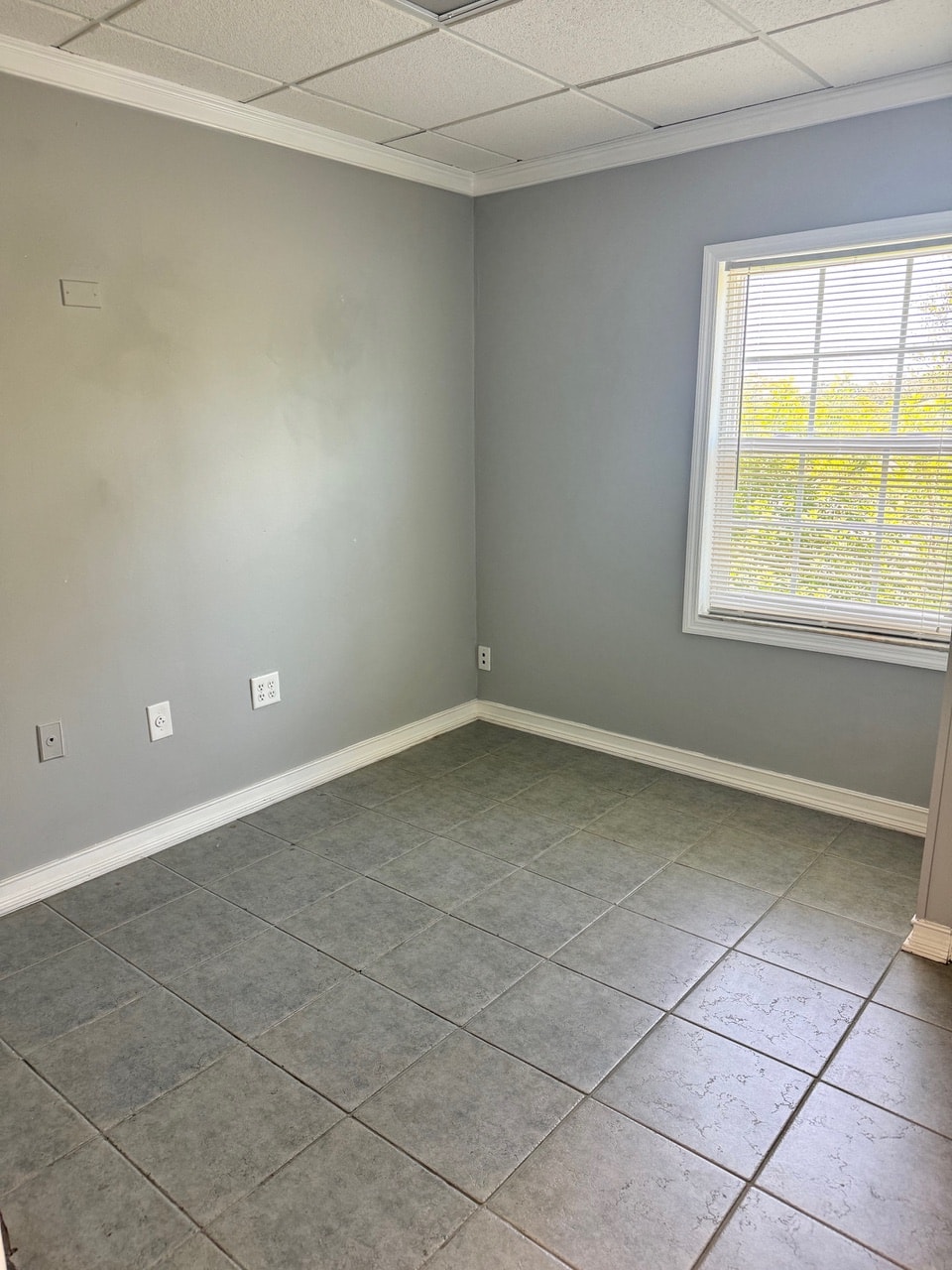 Gallery Photo 36