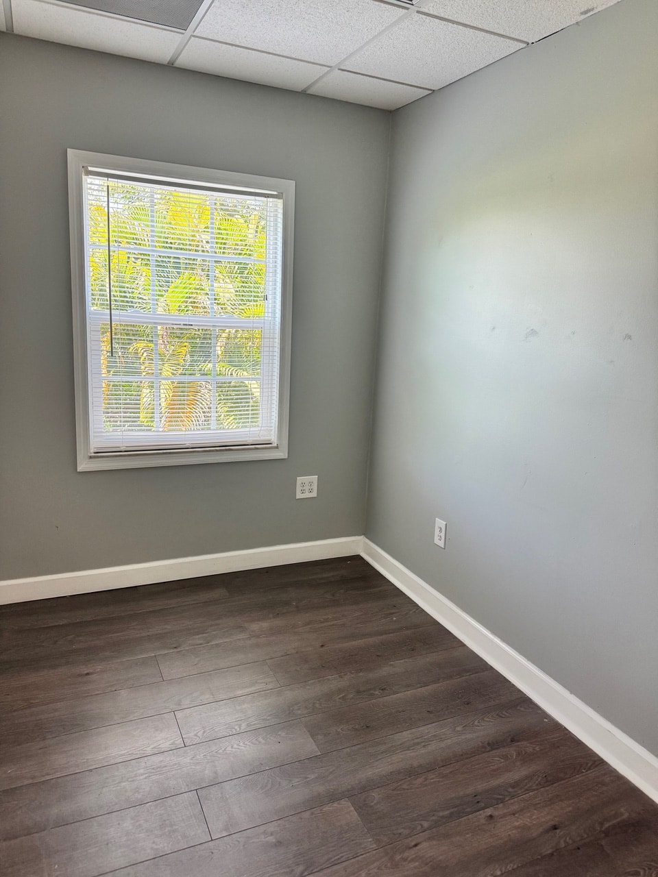 Gallery Photo 38