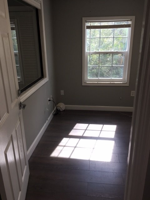 Gallery Photo 16