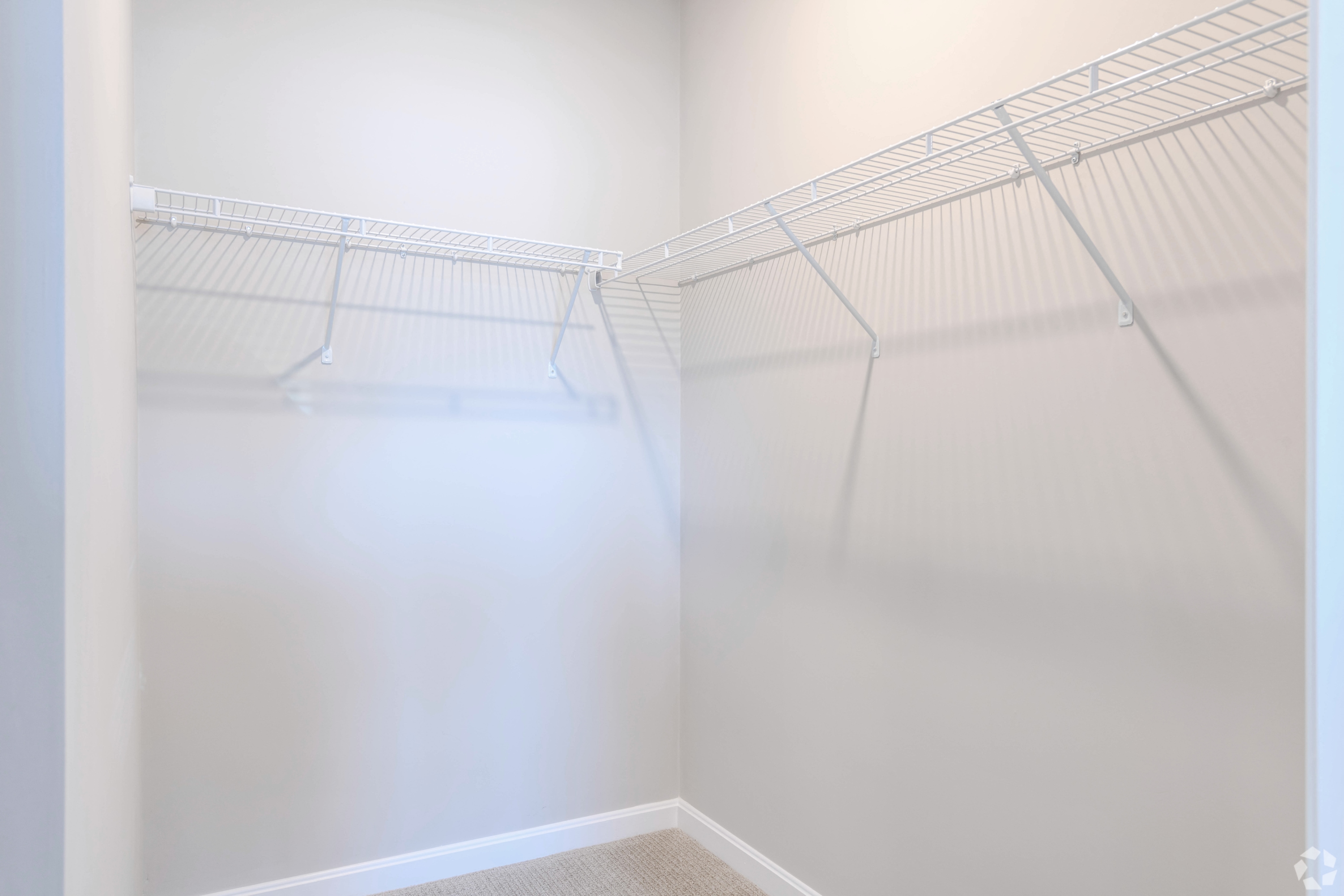 Gallery Photo 14