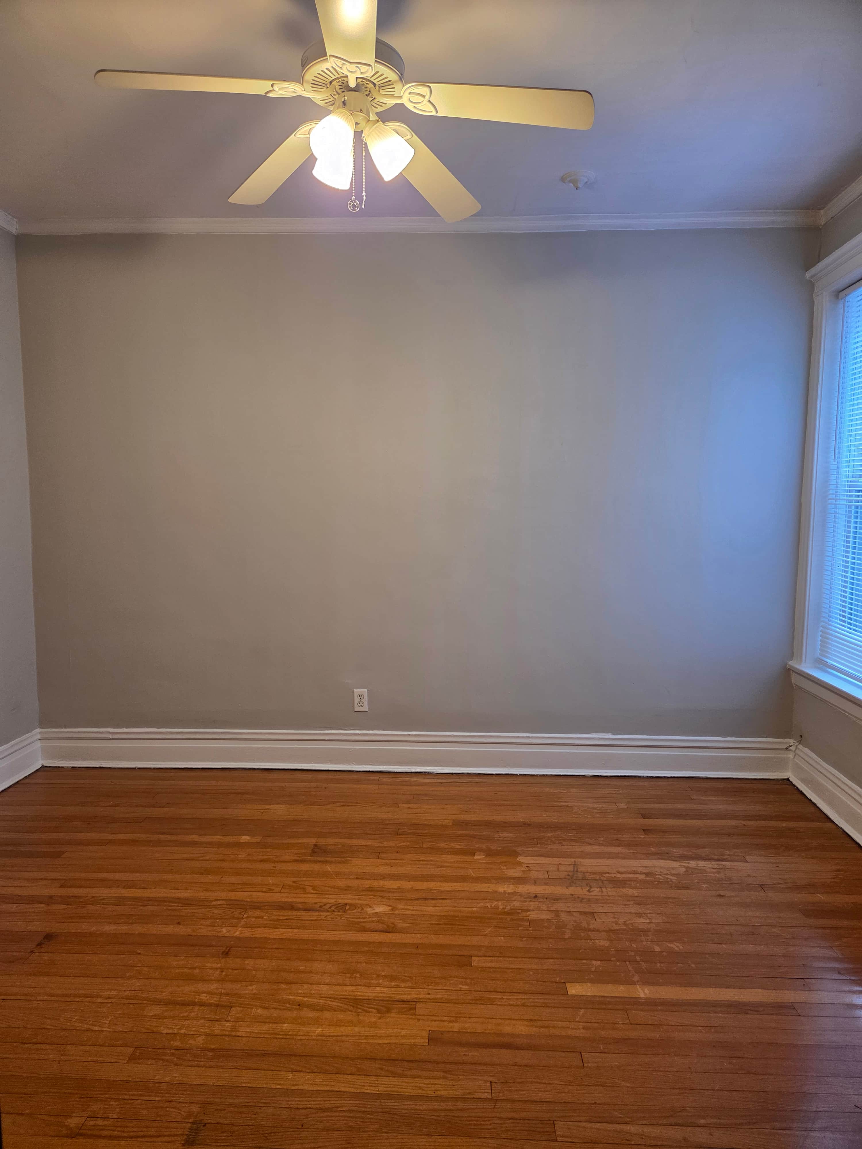 Gallery Photo 2