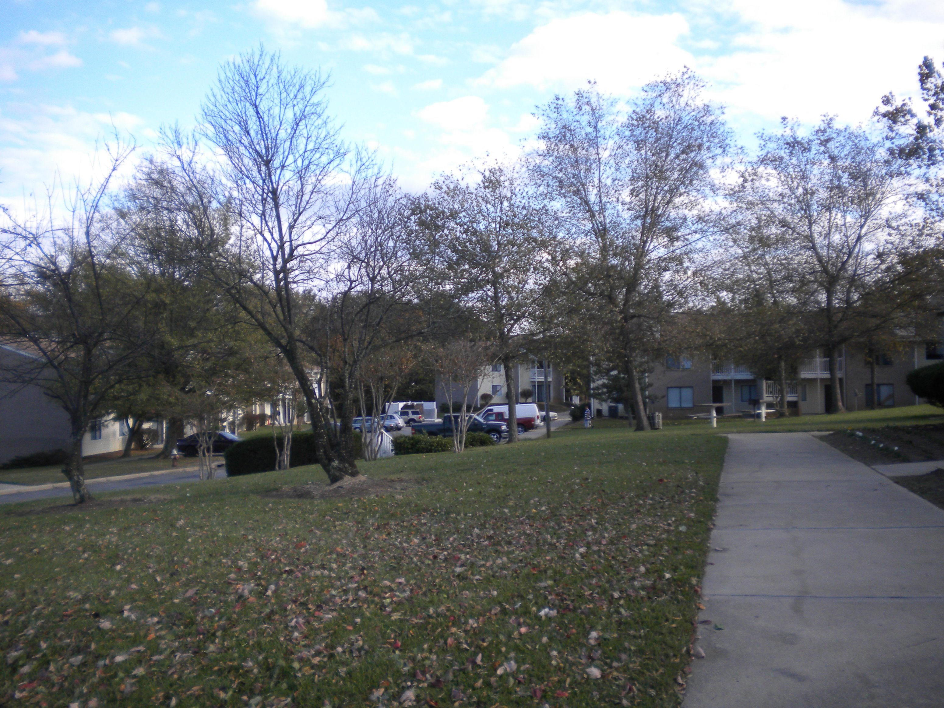 Gallery Photo 3