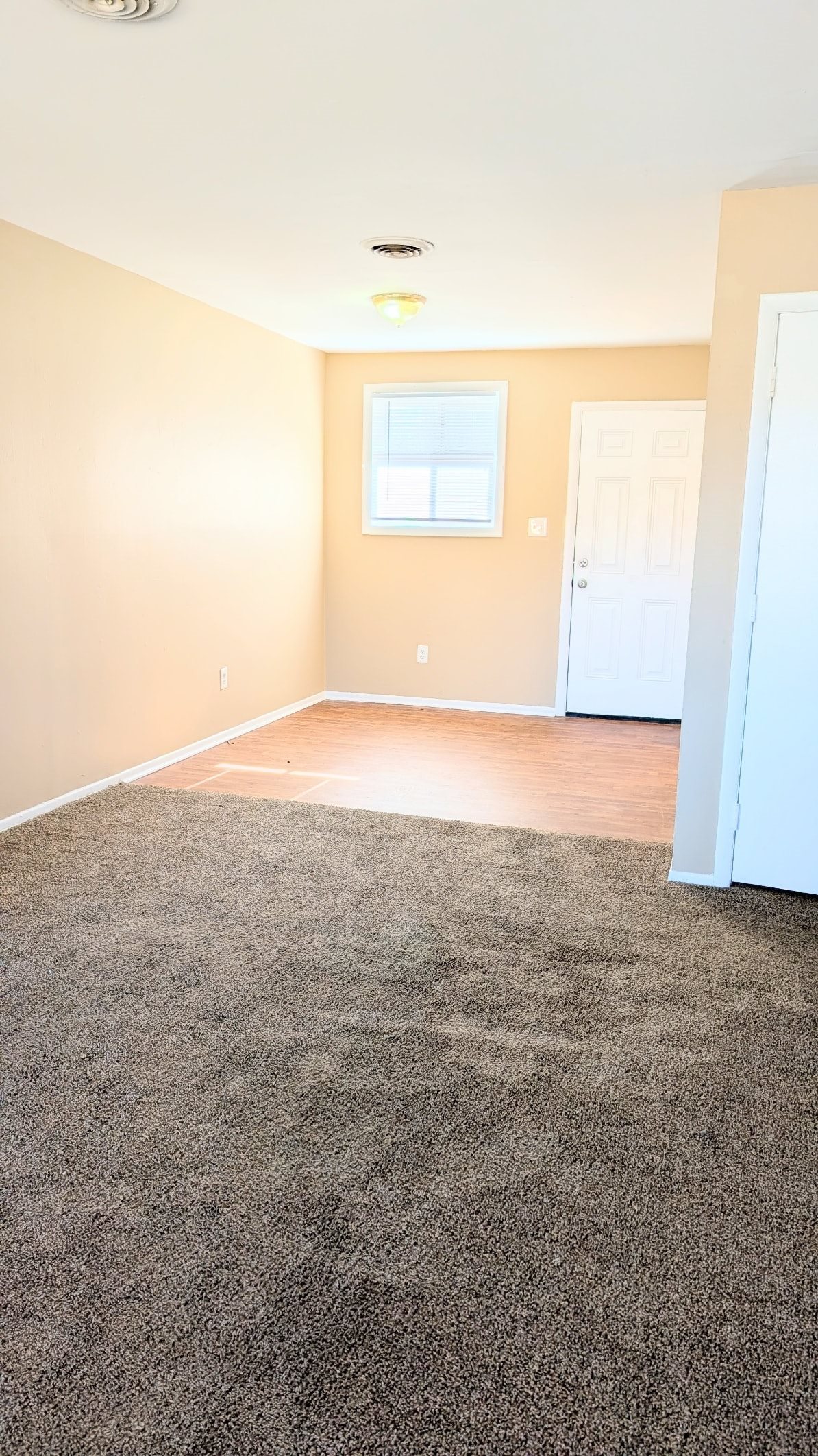 Gallery Photo 1
