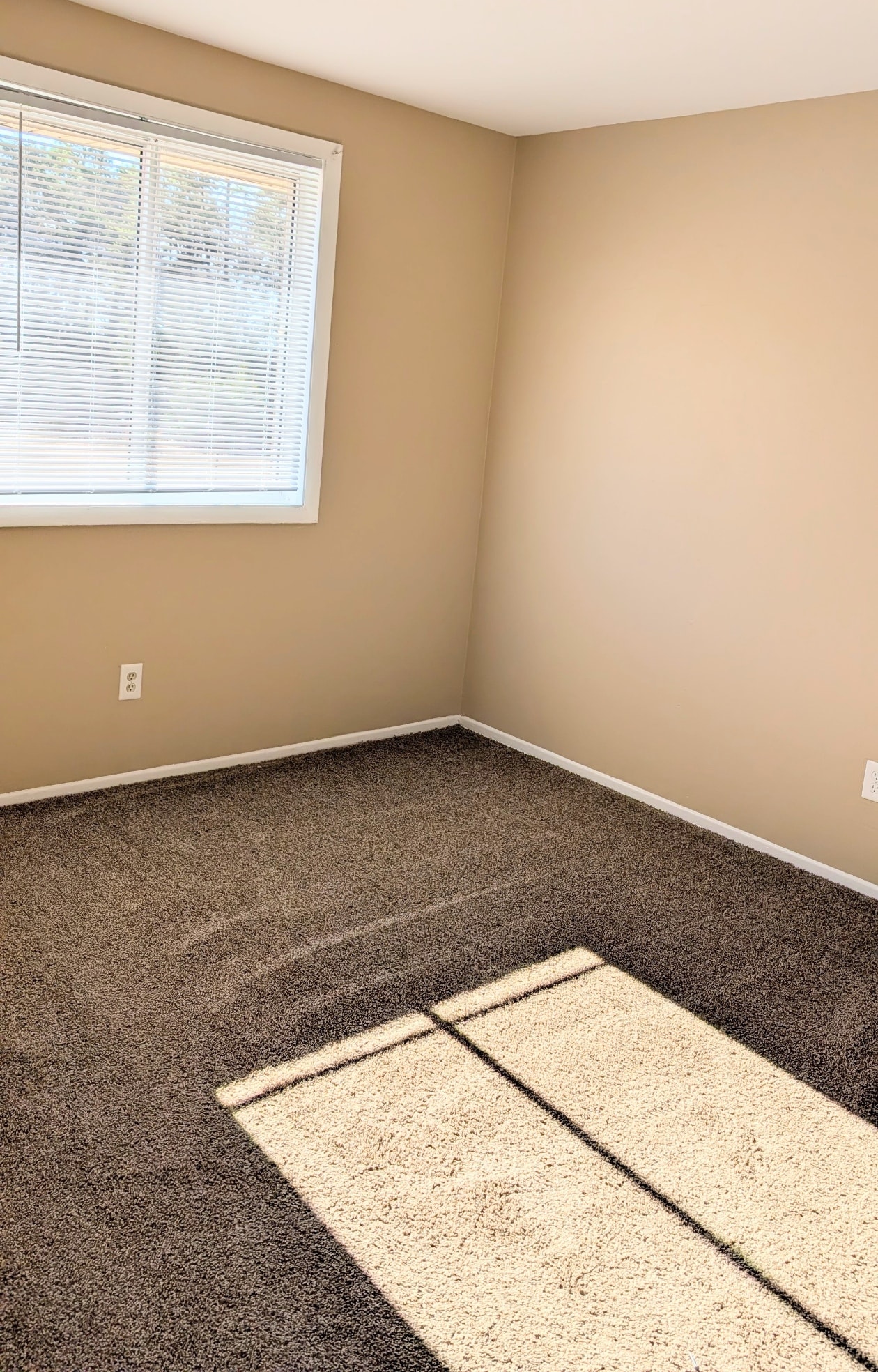 Gallery Photo 2