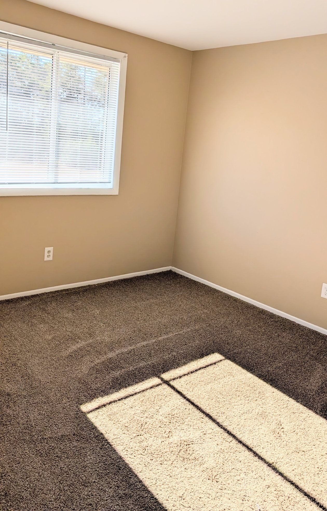 Gallery Photo 2
