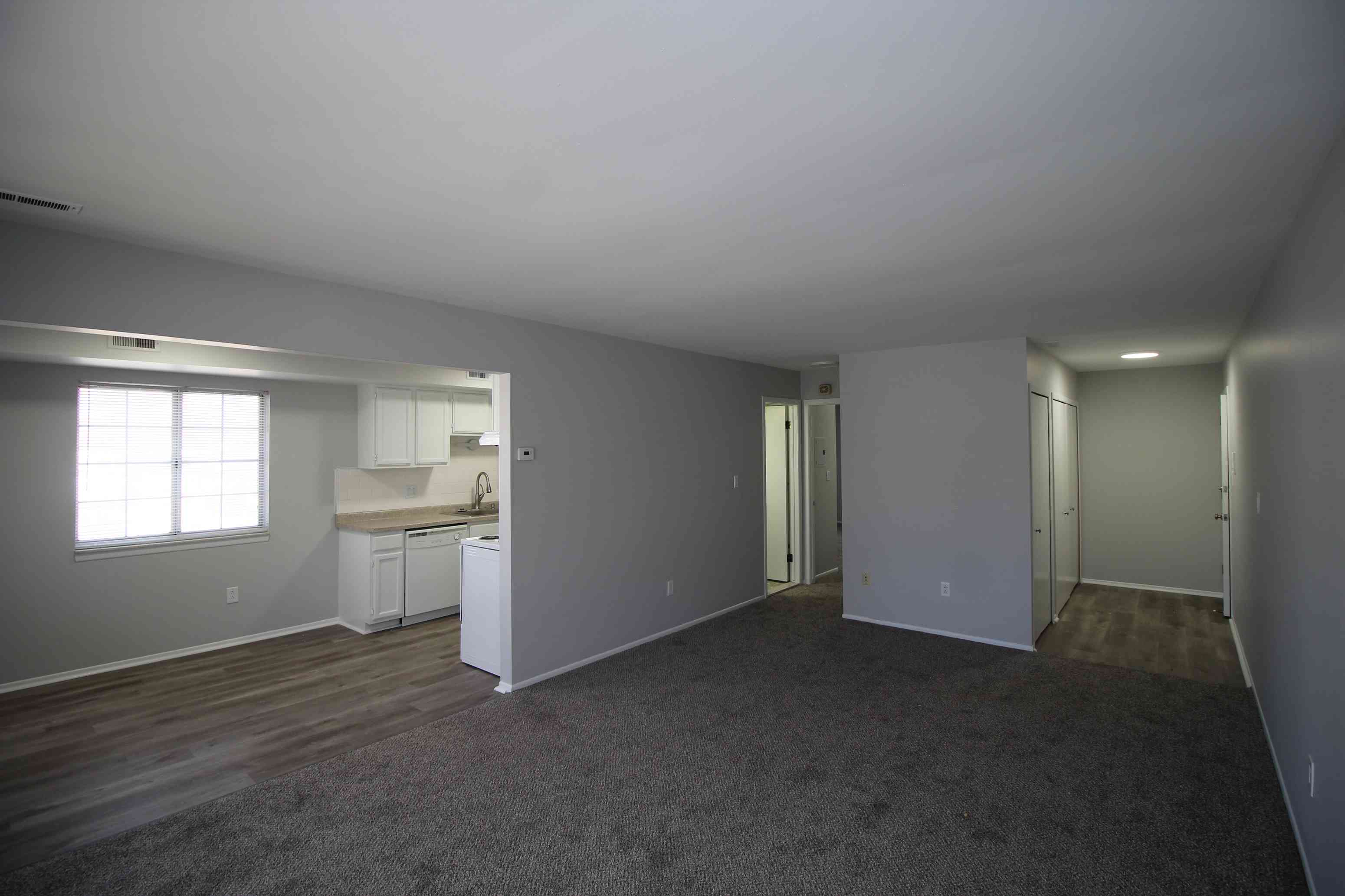 Gallery Photo 6