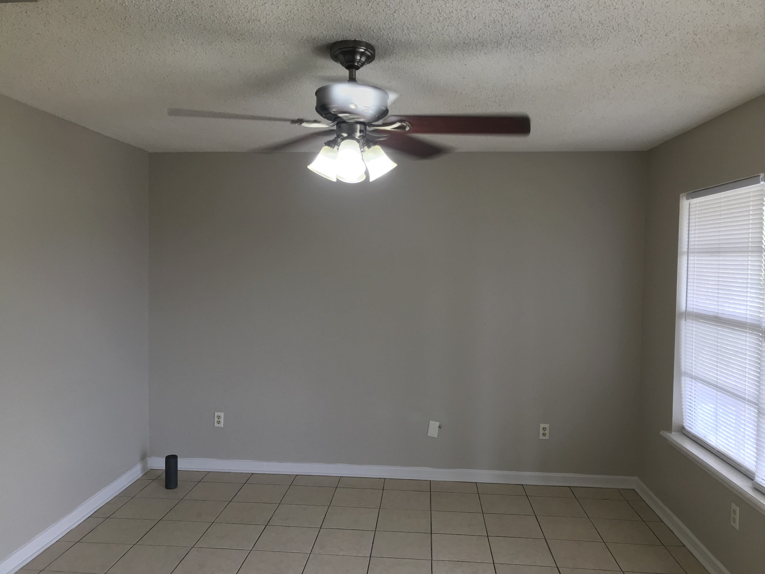 Gallery Photo 1