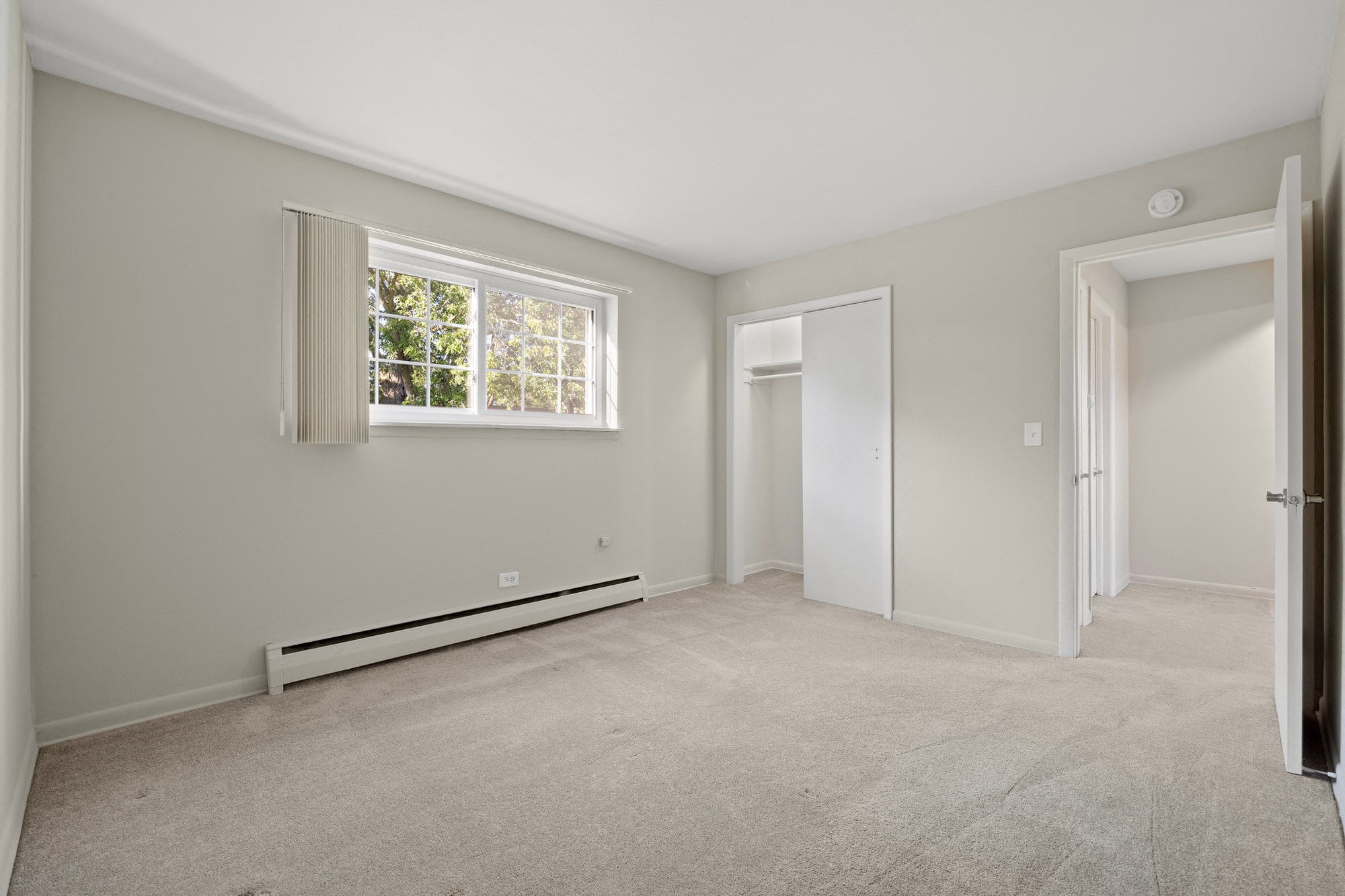 Gallery Photo 4
