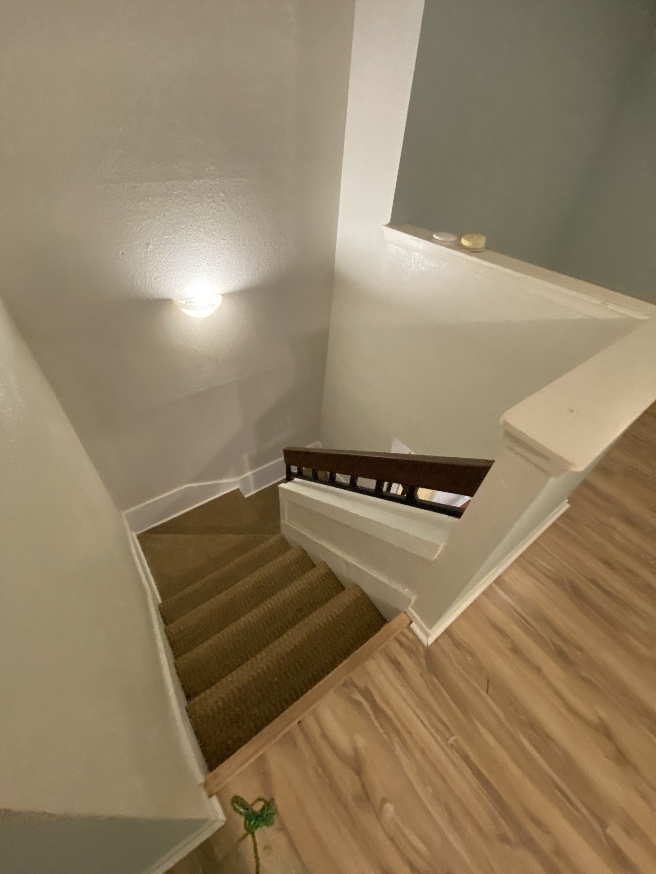 Gallery Photo 5