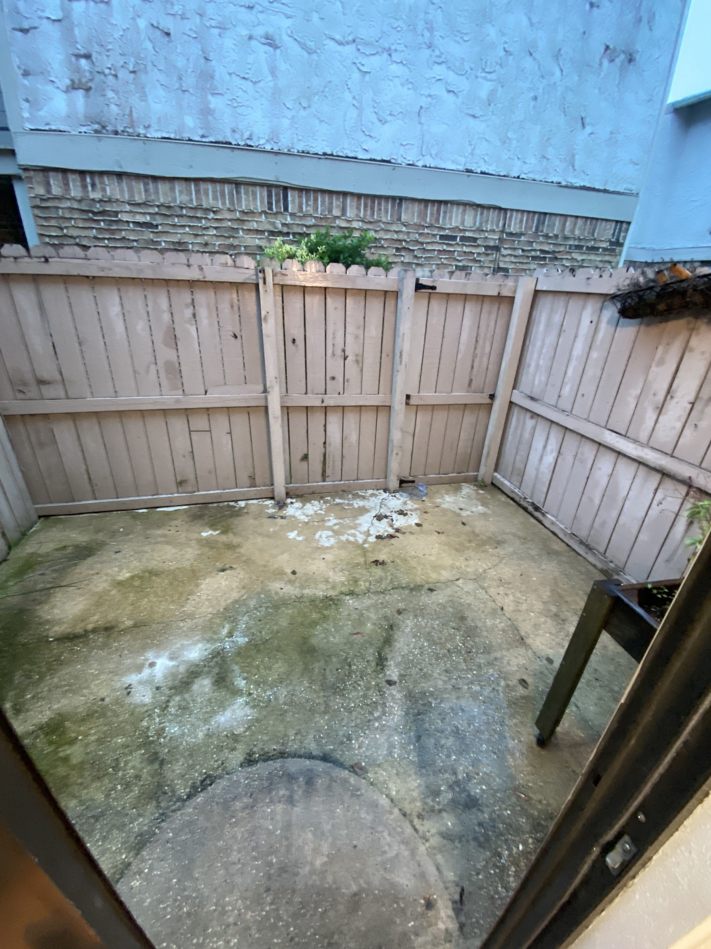 Gallery Photo 10