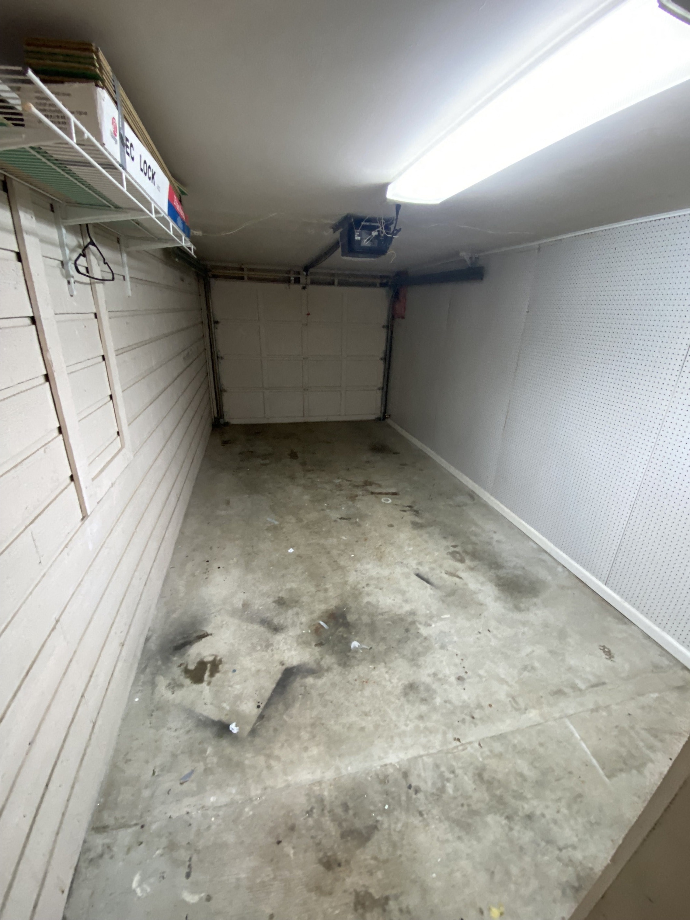 Gallery Photo 7